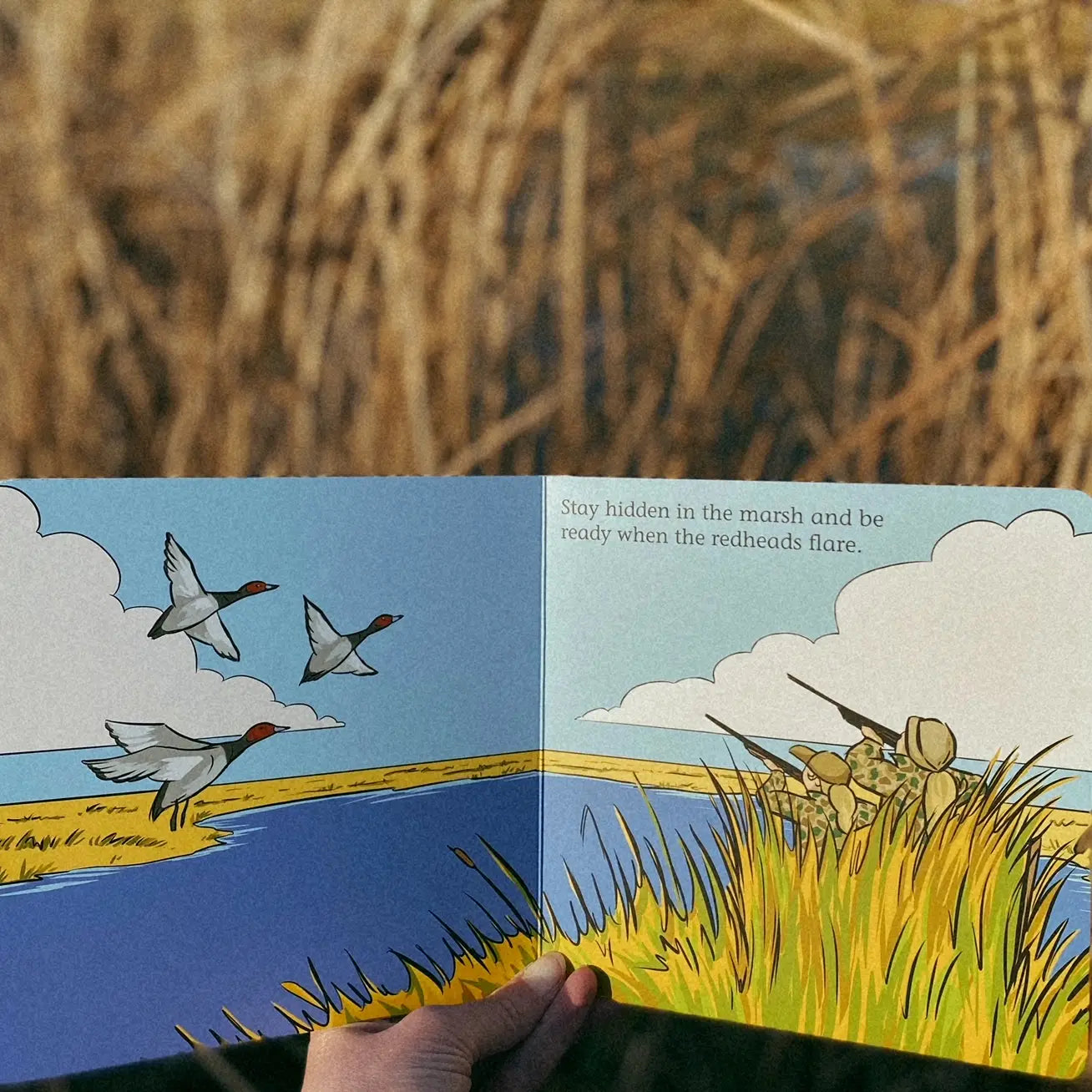 Duck Hunt Board Book