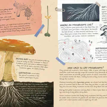 Mushroom Rain Hardcover Book