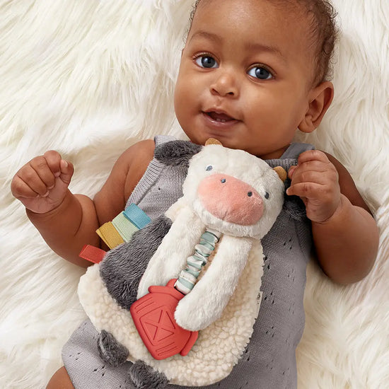 Plush Lovey with Silicone Teething Toy