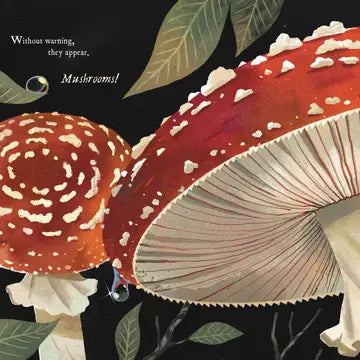 Mushroom Rain Hardcover Book