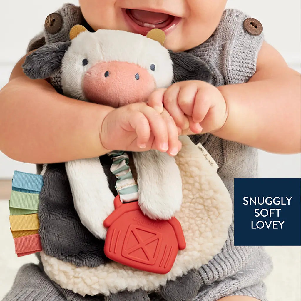 Plush Lovey with Silicone Teething Toy