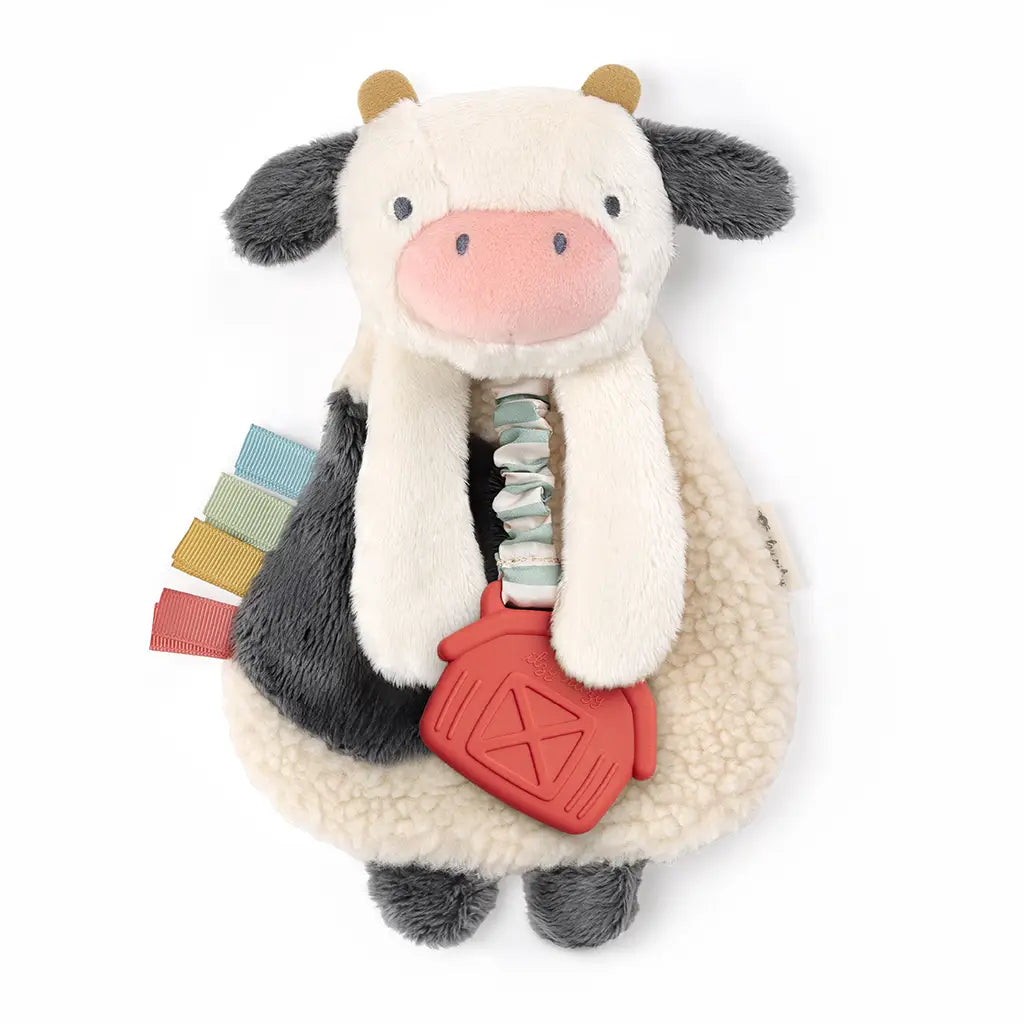 Plush Lovey with Silicone Teething Toy