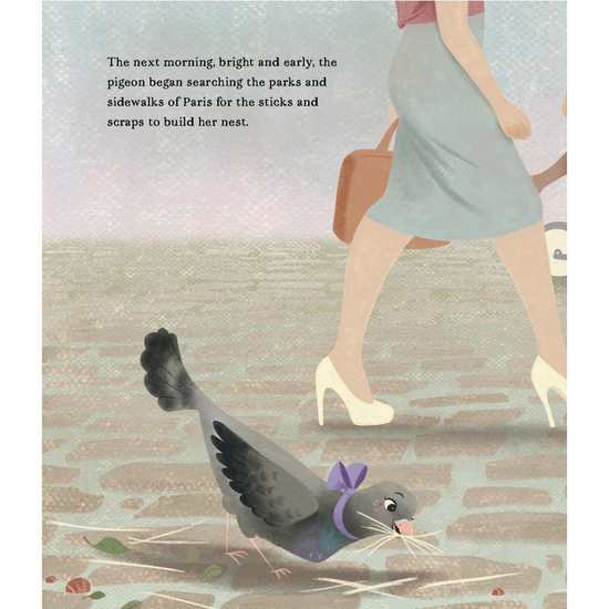 "Pigeon In Paris" Hardcover