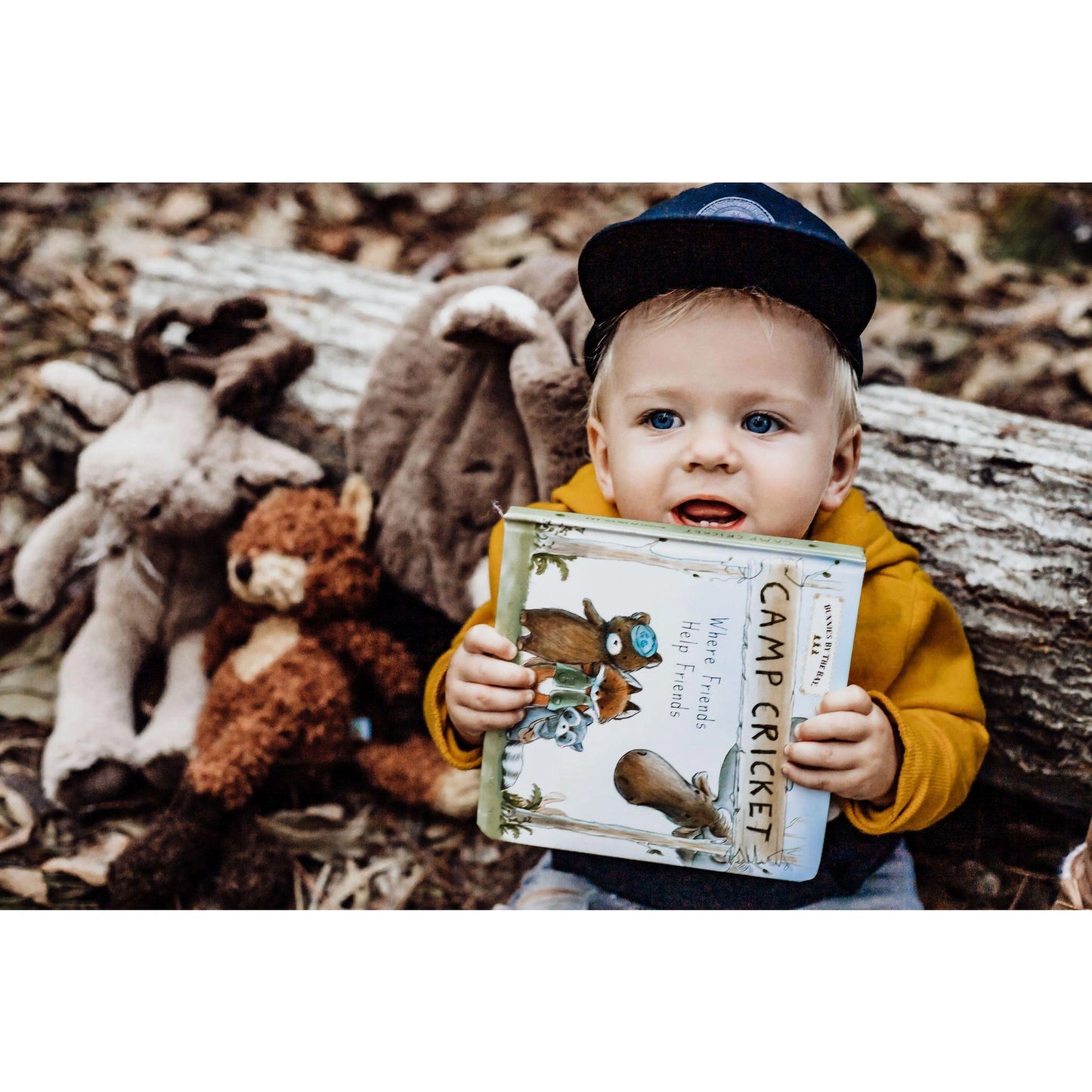 Camp Cricket Board Book